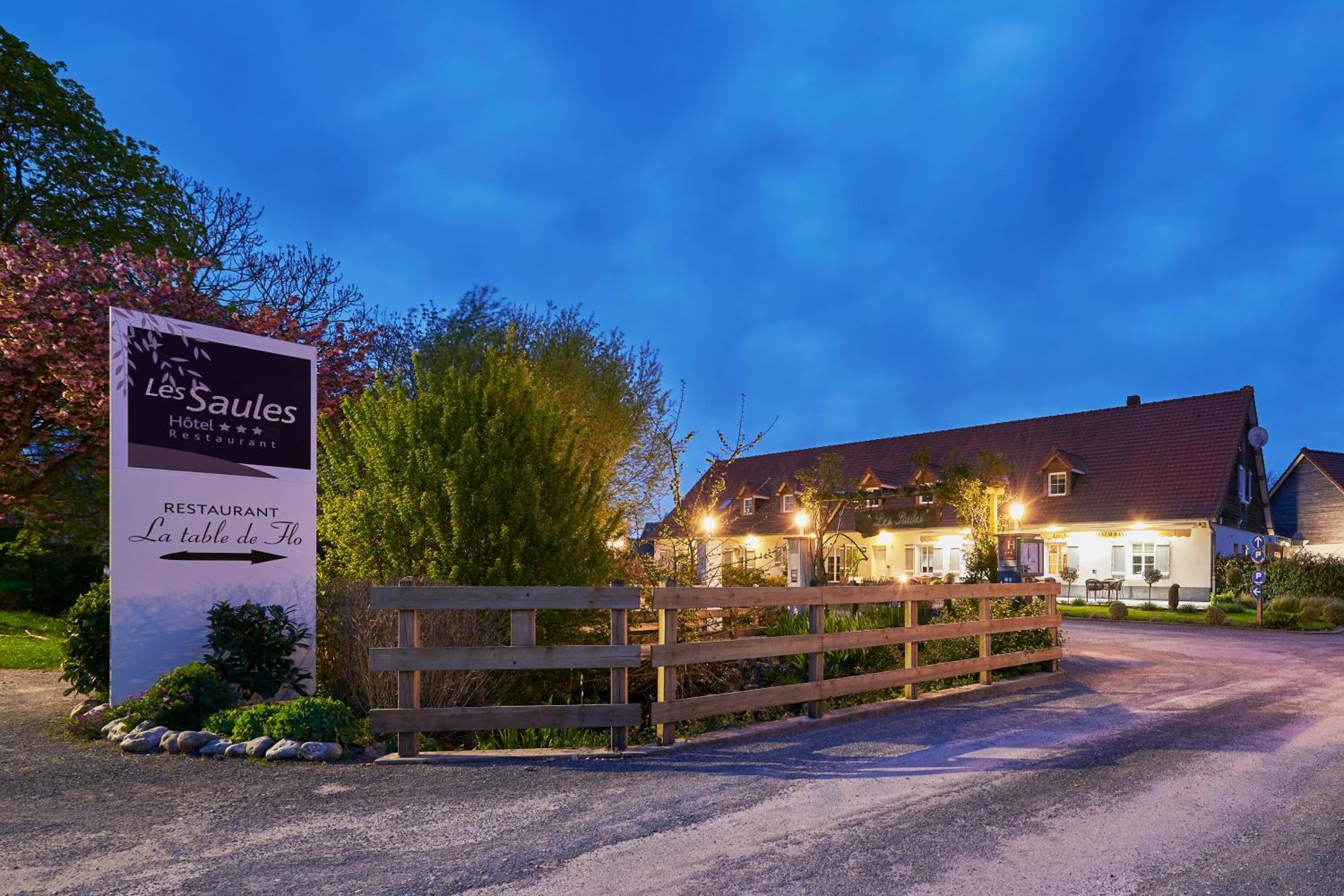 Hotel Spa Les Saules Favieres  Luaran gambar